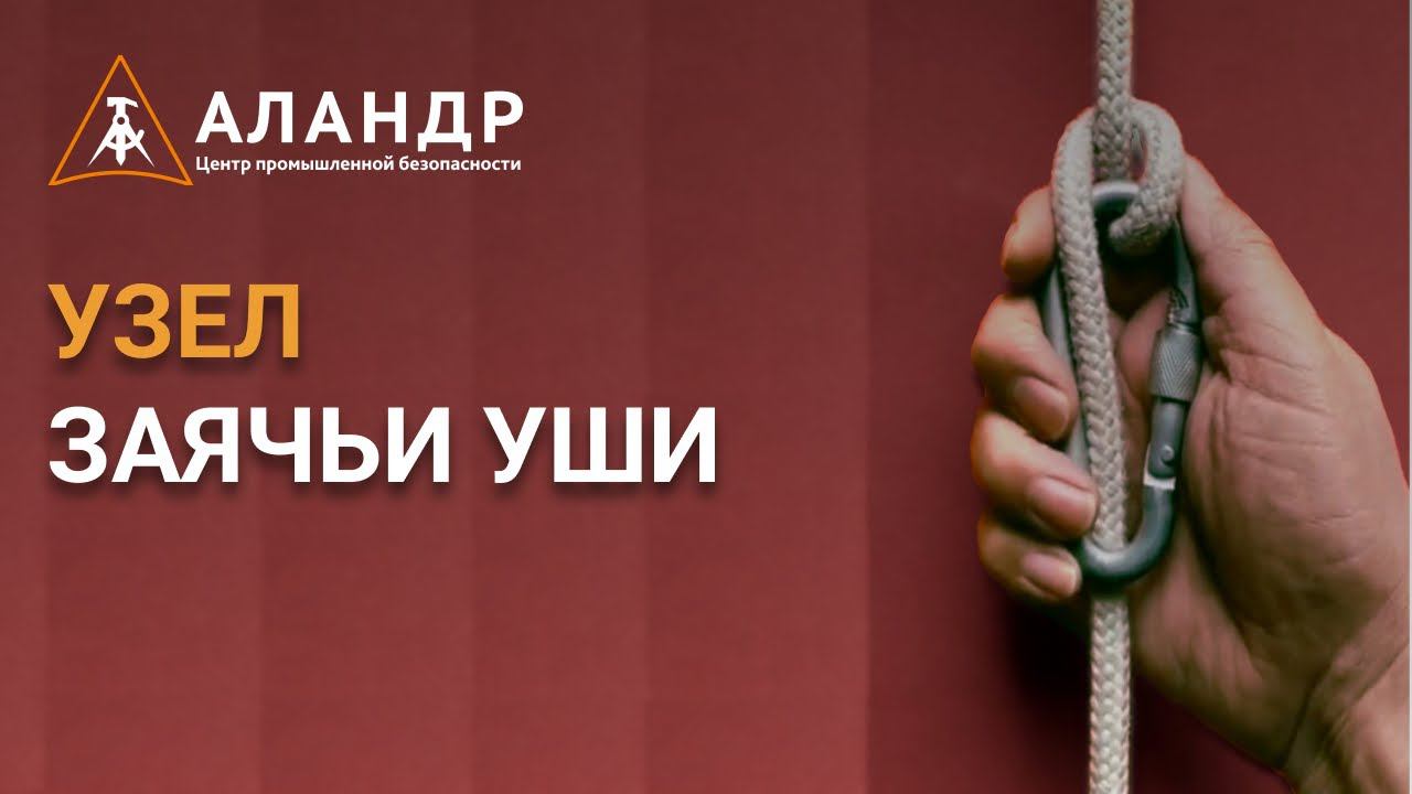 Заячьи уши