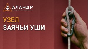 Заячьи уши
