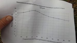 Секретный состав субстрата. Голубика будет в восторге