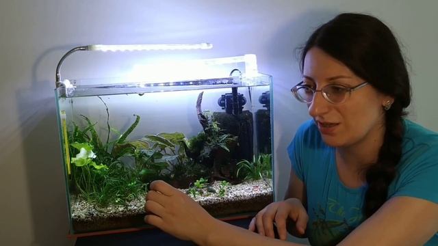 Нитчатка ( часть 2). смотреть онлайн