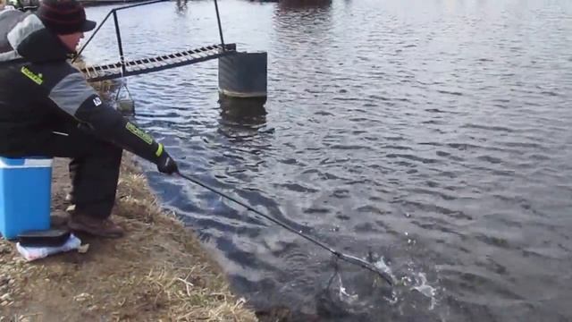 Рыбалка в Раменском рыбхозе "Гжелка" 25.03.2017 г. смотреть онлайн