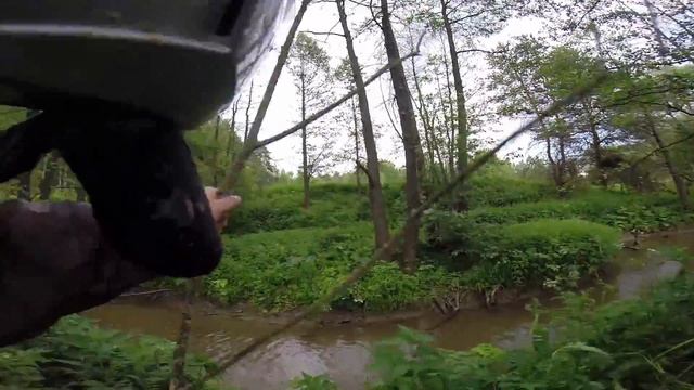 AcTiVity Club. Заокский-Липицы-Пущино. Квадропрогулка по окрестностям. смотреть онлайн