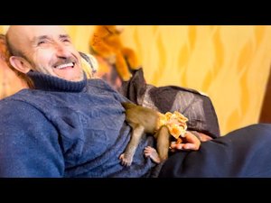 Люська УМНЕЕТ на глазах! Меня укусила, обои оборвала, я СТРАШНО РУГАЮСЬ, но посмотрите на ее реакц