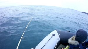Ловим ставриду на самодур.Рыбалка на черном море.