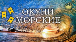 ✮ Норвежское море ✮ Окунь морской норвежскийх2 ✮ Окунь-клювач ✮ Русская рыбалка 4 ✮