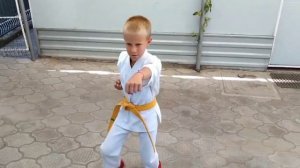 3 Ката Тайкиоку Соно Сан Киокушинкай каратэ ???