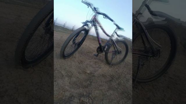 мой