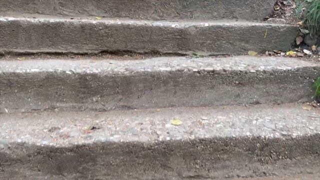 Как интересно провести время в Кисловодске? / Нарзанные ванны / Терренкуры Кисловодска / Обзор цен смотреть онлайн