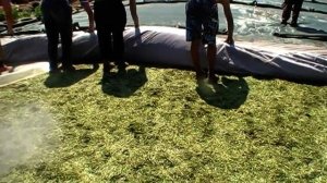 Силос. Укрытие силосной ямы.