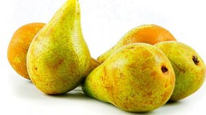 ГРУШИ ПОЛЬЗА | груша полезные свойства и противопоказания