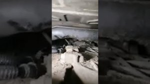 Тигуан 4wd замена сальников заднего редуктора. 4