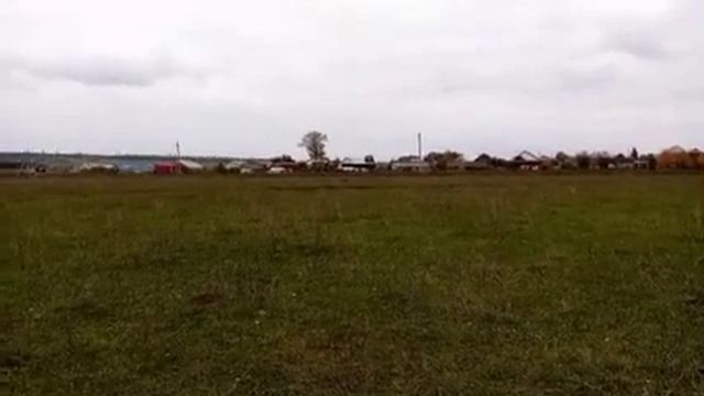 Кормить птиц,чтобы жениться и замуж выйти смотреть онлайн