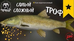 УСАЧ КОРОТКОГОЛОВЫЙ ТРОФЕЙНЫЙ ( ТРОФ ) р. АХТУБА ⭐ РУССКАЯ РЫБАЛКА 4 | RUSSIAN FISHING 4 @Z-B-G