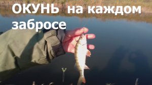 ОКУНЬ клевал на кадом забросе - это надо видеть!