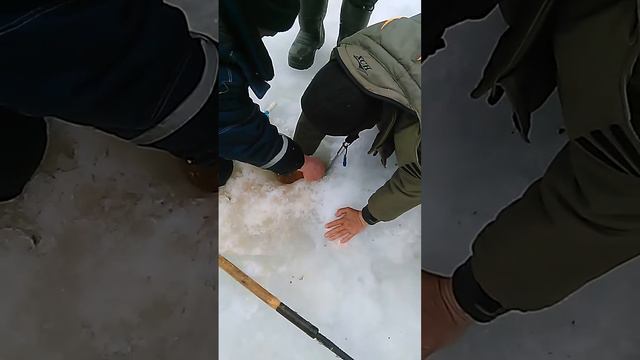 платная рыбалка в Запрудном смотреть онлайн