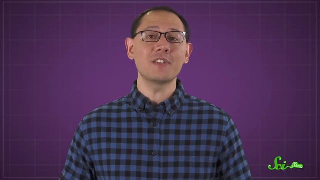 The Most Amazing Birds on Earth | SciShow Compilation смотреть онлайн