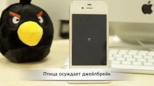 [Cydia] SpotLock - Новый функционал для SpotLight