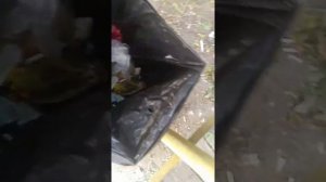 поиск крышек