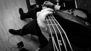 Rammstein- Sonne (Bass Cover)