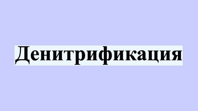 Денитрификация