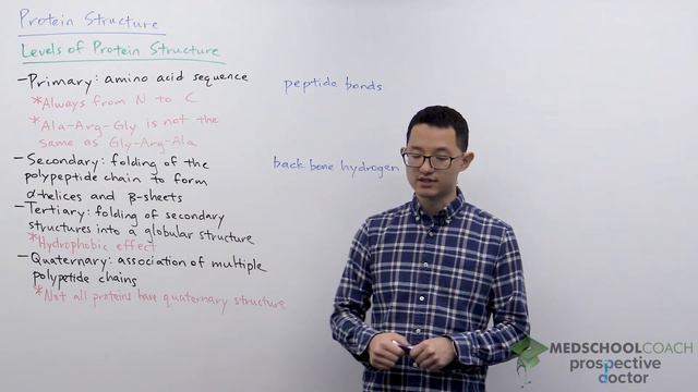 Levels of Protein Structure | MCAT Biology Prep