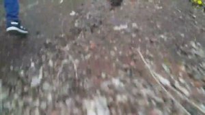 Заброшки Воронежа| Путешествие в детсткие лагеря в Дубовке. Серия 1 часть 2