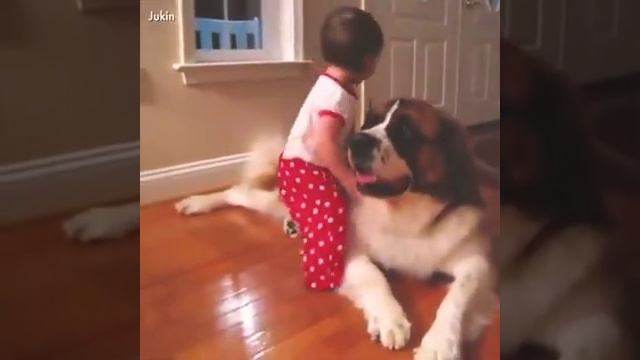 Любите животных!!! смотреть онлайн