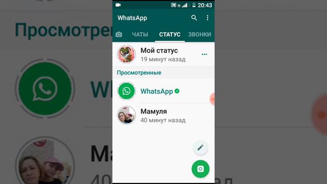 Обзор как просмотреть статус на ватсапе