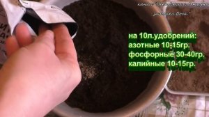 Свой грунт для рассады сложно ,но можно ,за то надежно