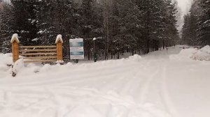 Отзывы о санатории Кленовая гора   прогулка положительно!