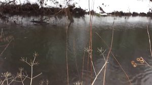 КИДАЕМ МАГНИТ F400 ))) ЗАРАБОТАЛИ ДЕНЕГ )))