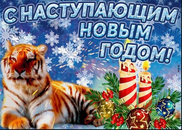 С Наступающим Новым годом 2025!