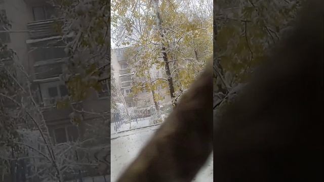 Самый сильный снеопад за этот месяц ??❤️ смотреть онлайн