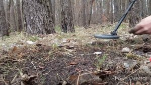 Нашёл рассыпуху.Поиск с металлоискателем.