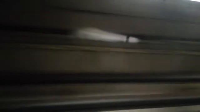 Перегон Петровско-Разумовская-Селигерская 13 октября 2019 года. смотреть онлайн