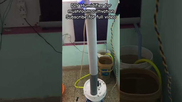 DIY Humidifier For Mushroom Cultivation | Low cost | Noise less | 100% useful  #mushroomfarming