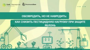 Обезвредить, но не навредить: как снизить пестицидную нагрузку при защите яблонь