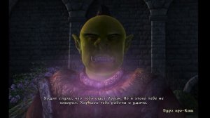 The Elder Scrolls IV: Oblivion серия 25