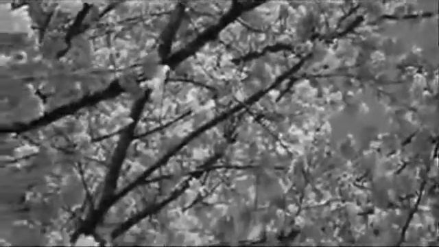 D&Y -Слезы ветра смотреть онлайн