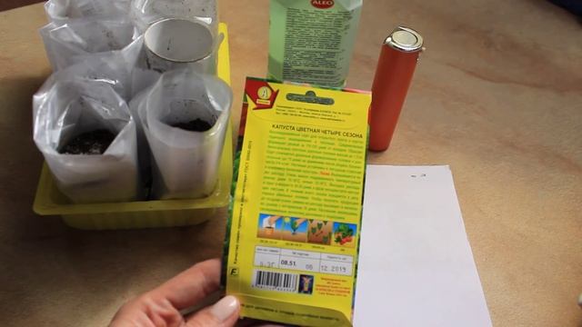 ПРОСТОЙ И УДОБНЫЙ СПОСОБ ВЫРАЩИВАНИЯ КАПУСТЫ ИЗ СЕМЯН ! ОТЛИЧНАЯ ВСХОЖЕСТЬ ! ЦВЕТНАЯ КАПУСТА, БРОКК