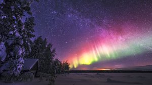 Я не виновен