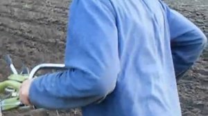 Вспашка мотоблоком Зубр