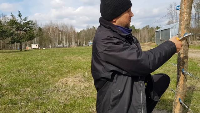 Бросили строить дом на дереве и переключились на курятник .Установка мощного электропастуха ПРО 6 смотреть онлайн