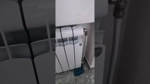 Отзыв Royal Thermo indigo Bimetal