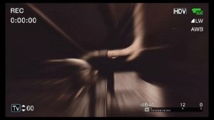 Stalker Edit. (STALKER Anomaly Redux)