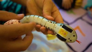 Радиоуправляемая змея на пульте управления / Radio controlled snake on the remote control