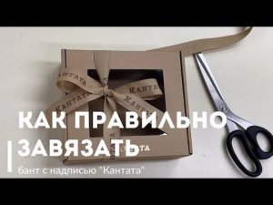 Французский бант с лого: Как его завязать?