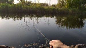 Мормышинг.Караси на поролон и другая рыба