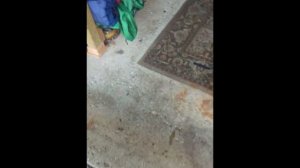 VW B6 BPY FSI 2.0T Oil Pressure Sensor and Gauge Install