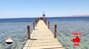 ПЛЯЖ "El Fanar" С ШИКАРНЫМ РИФОМ В ШАРМ ЭЛЬ ШЕЙХЕ. СТОИТ ЛИ ЕХАТЬ НА ПЛАТНЫЙ ПЛЯЖ?